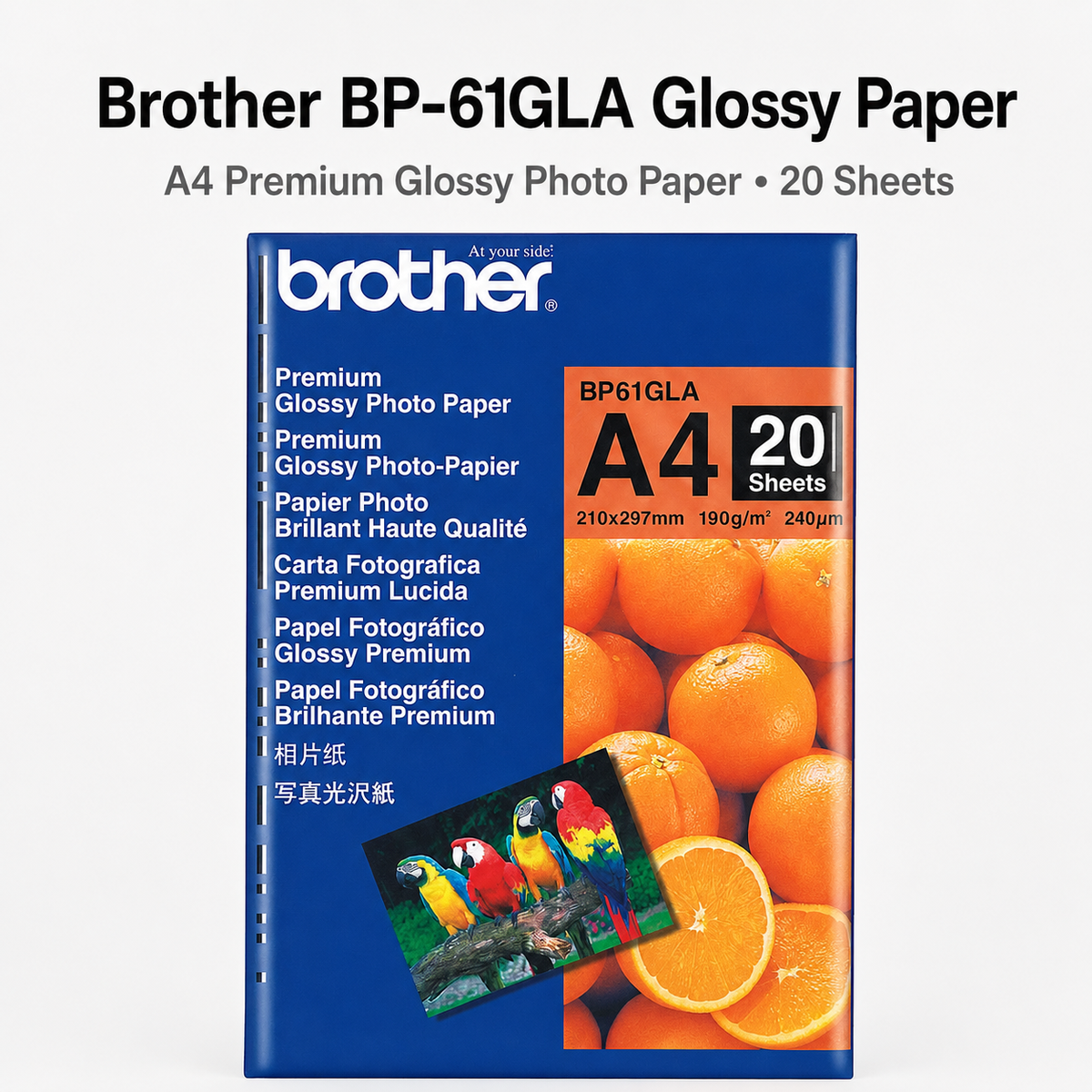 Brother BP-61GLA Glossy Paper