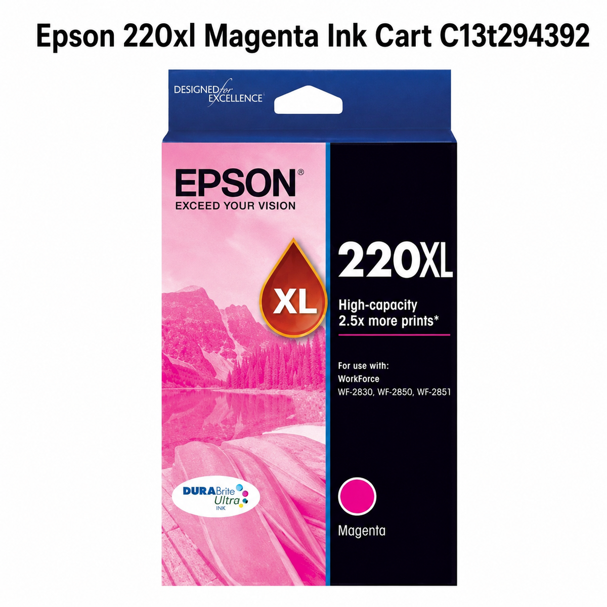 Epson 220XL Magenta Ink Cart C13T294392