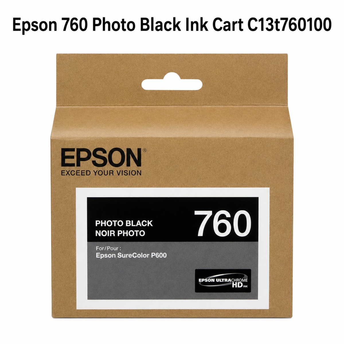 Epson 760 Photo Black Ink Cart C13T760100